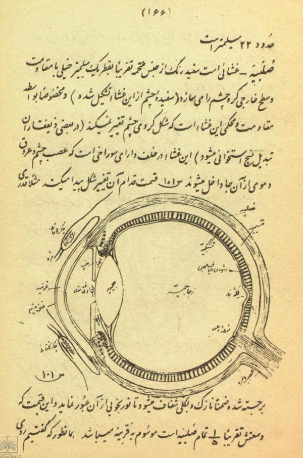 تاريخ طبيعی معرفت الحيوان برای سال چهارم متوسطه