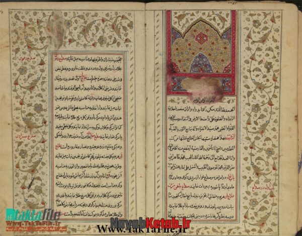 دانلود کتاب گلشن علاج و بستان الادويه (طب سنتی) - Image 3