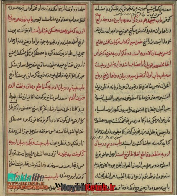 دانلود کتاب گلشن علاج و بستان الادويه (طب سنتی) - Image 4