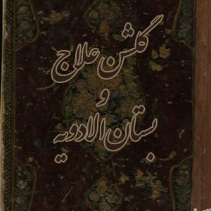 دانلود کتاب گلشن علاج و بستان الادويه (طب سنتی)