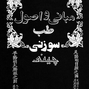 دانلود کتاب مبانی و اصول طب سوزنی چینی