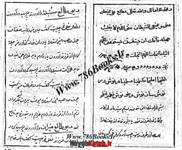کتاب هفتاد دو دیو علوم غریبه از آصف بن برخیا (شامل سه نوع کتاب) - Image 10