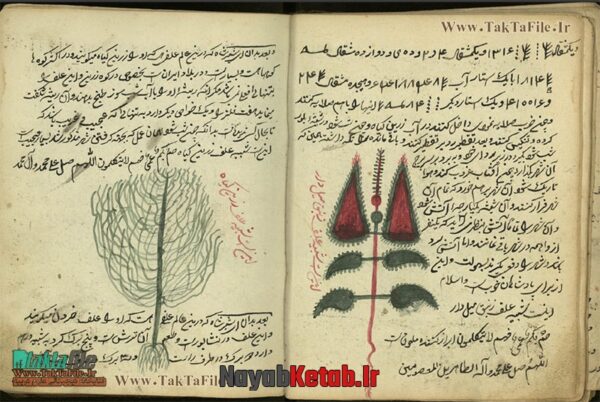 کتاب مجموعه ای در باب علوم غریبه و تعبیر خواب منظوم - Image 2