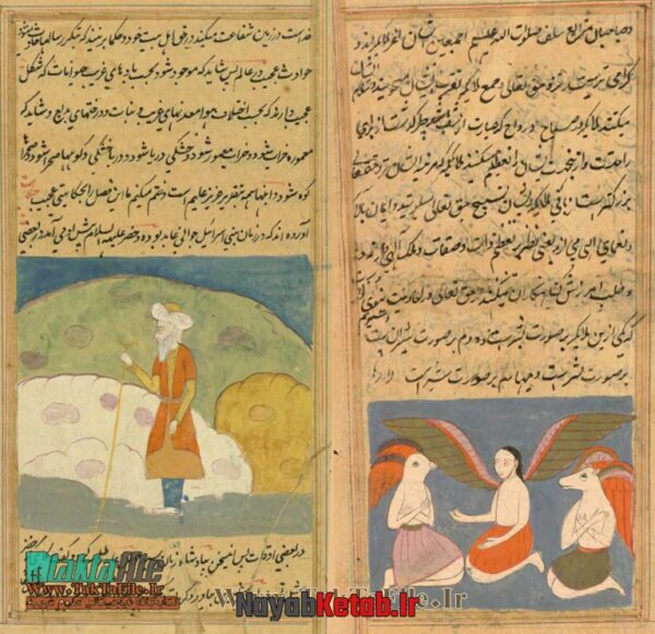 دانلود کتاب عجائب المخلوقات و غرائب الموجودات (نوع دوم) - Image 3