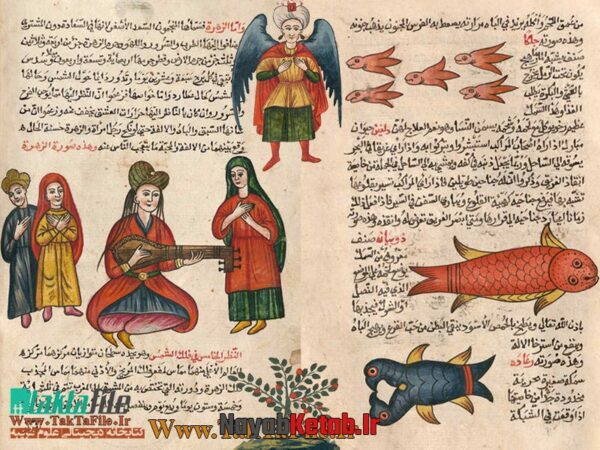 کتاب هذا کتاب عجایب المخلوقات و غرائب الموجودات (فارسی و عربی) (دو نوع) - Image 2