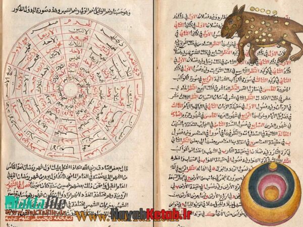 کتاب هذا کتاب عجایب المخلوقات و غرائب الموجودات (فارسی و عربی) (دو نوع) - Image 4