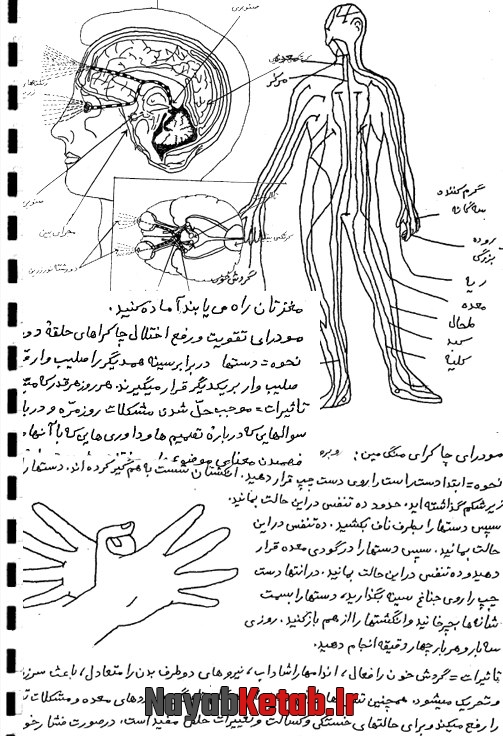 کتاب علم النفس روش ودیک چاکراها کندالینی پرانا کالبدها کتاب علم النفس روش ودیک چاکراها کندالینی پرانا کالبدها
