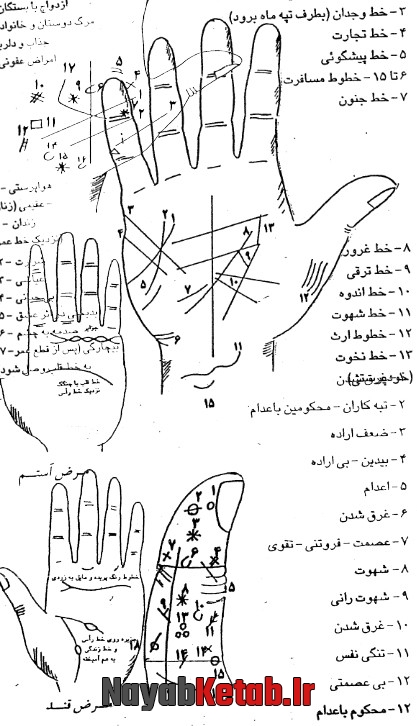 آموزش کف بینی، کف بینی چیست آموزش کف بینی، کف بینی چیست