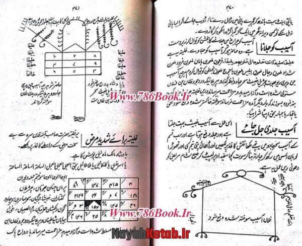 دانلود کتاب انکشاف غیبی الحب (اردو) - Image 7