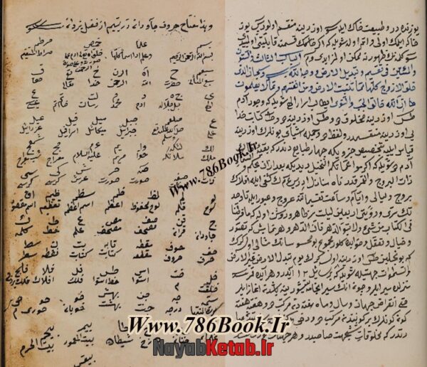 دانلود کتاب جاویدان در یتیم (عربی) - Image 2