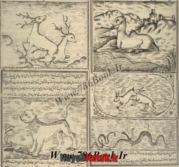 دانلود کتاب خواص الحیوان (مجموعه سوم) - Image 6