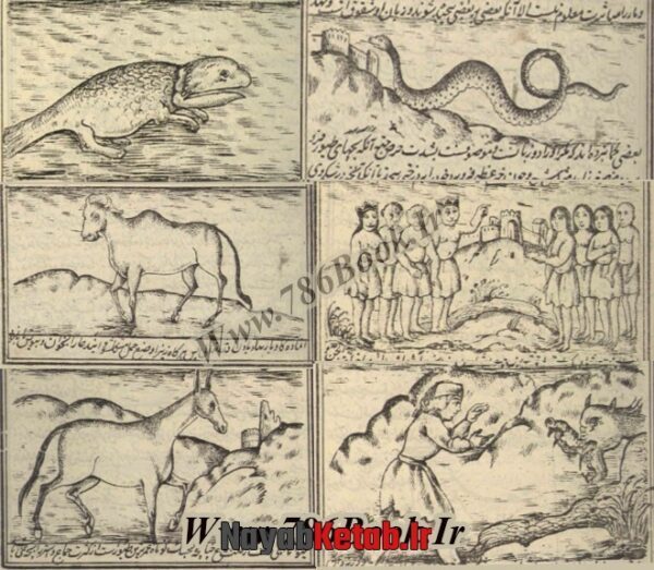 دانلود کتاب خواص الحیوان (مجموعه سوم) - Image 5