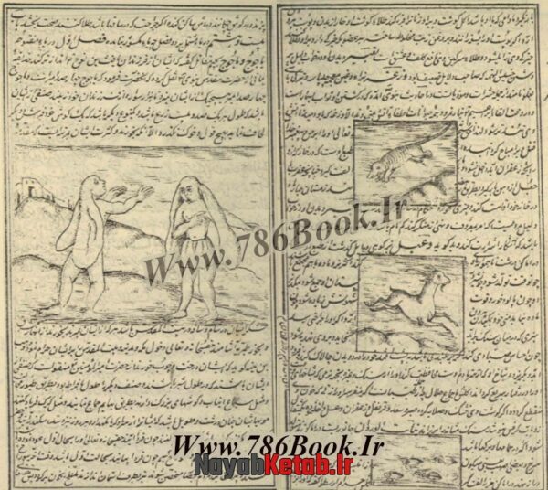 دانلود کتاب خواص الحیوان (مجموعه سوم) - Image 4