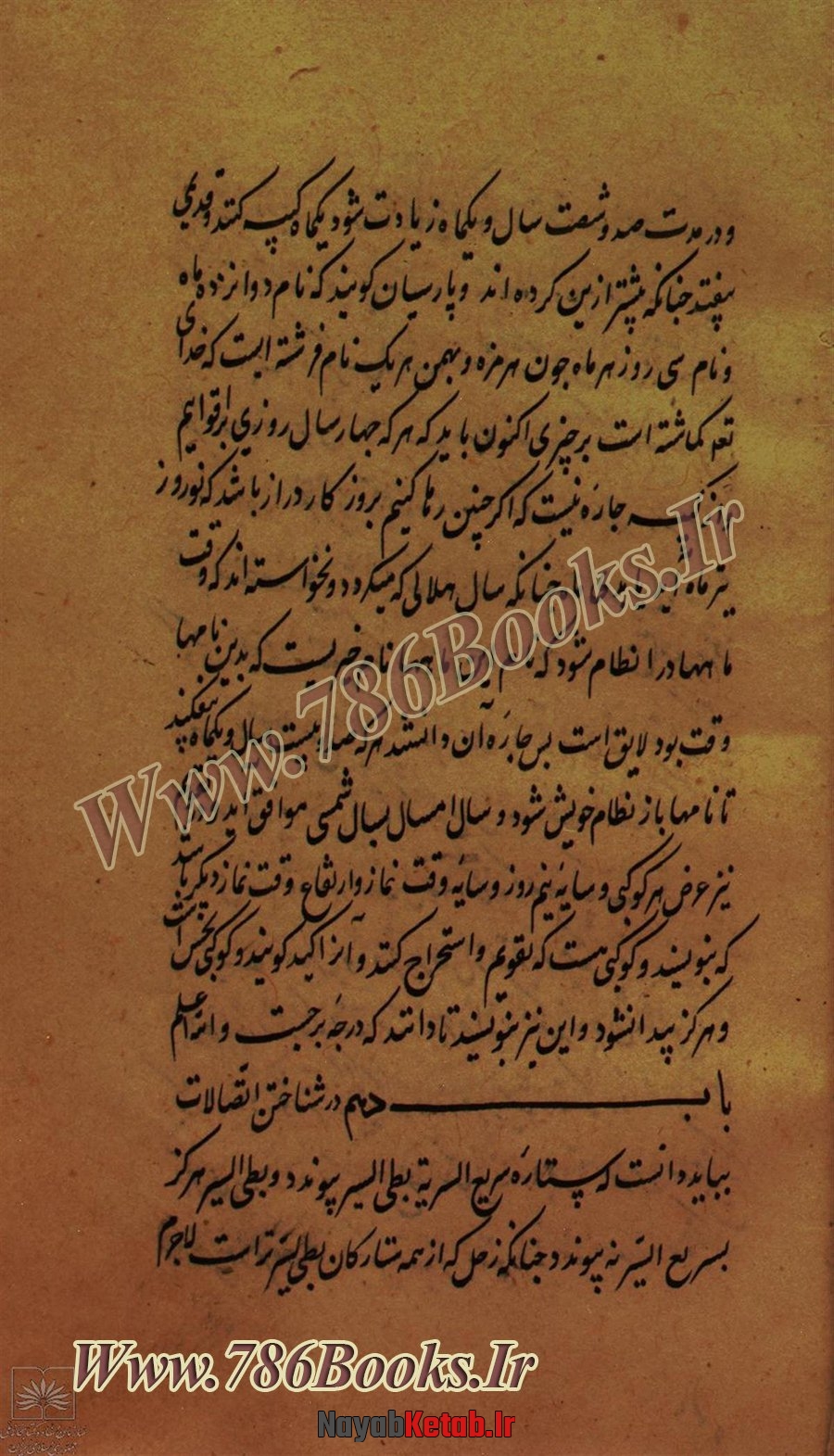 خواص ناموس کفتار, ناموس کفتار چیست