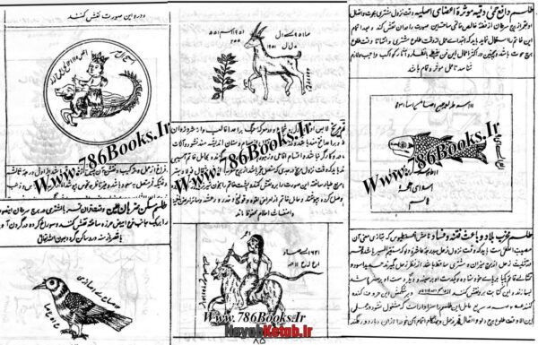 کتاب ختومات و تسخیرات جن و اعمال قرطاس و علوم غریبه (دو نوع) - Image 4