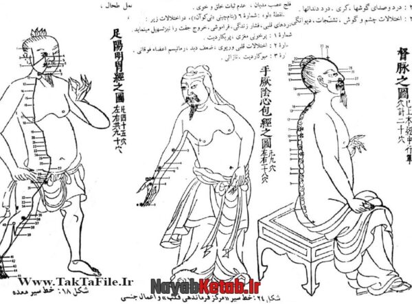 دانلود کتاب مبانی و اصول طب سوزنی چینی - Image 2