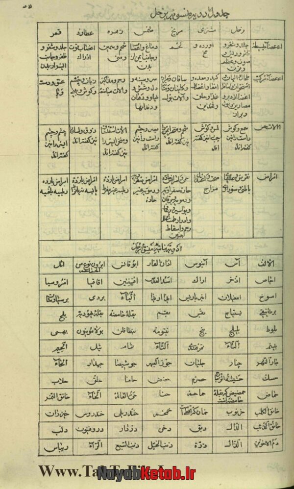 دانلود کتاب مجمع الجوامع ذخائر الترکیب معروف به قرابادين کبیر - Image 3
