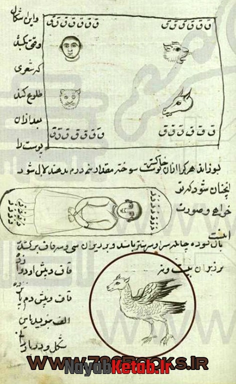 باطنامه طلسم چیست فال و طالع بینی