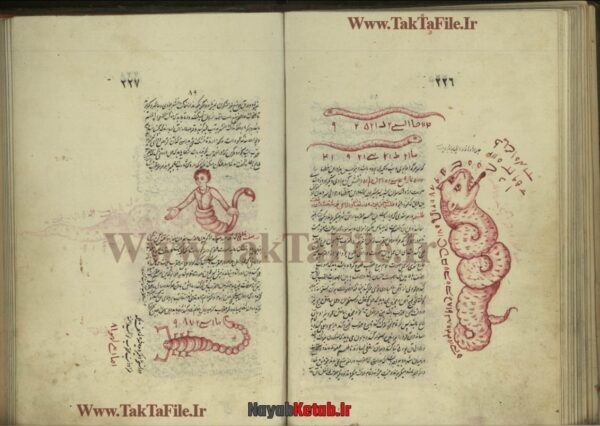 دانلود کتاب مجموعه رسائل مختلفه در رمل و اسرار قاسمی مصور - Image 7
