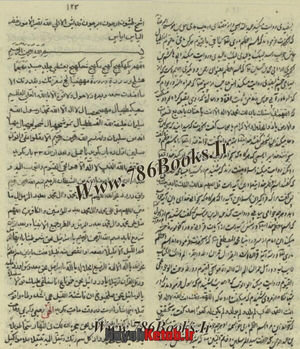 کتاب مجموعه رسائل مختلفه در رمل و اسرار قاسمی مصور، طلسمات مریخ الهند از بلیناس حکیم - Image 5