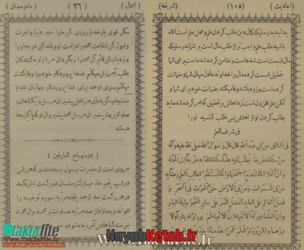 دانلود کتاب هذا کتاب معراج العارفین سلطان ملک - Image 3