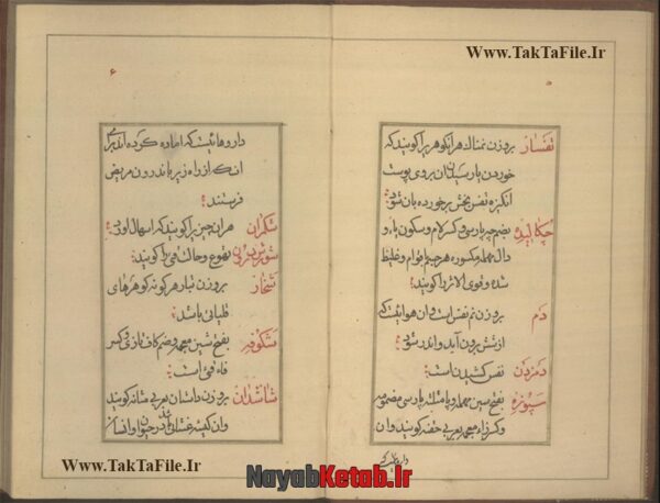 دانلود کتاب پادزهرنامه گزین (طب سنتی) - Image 3