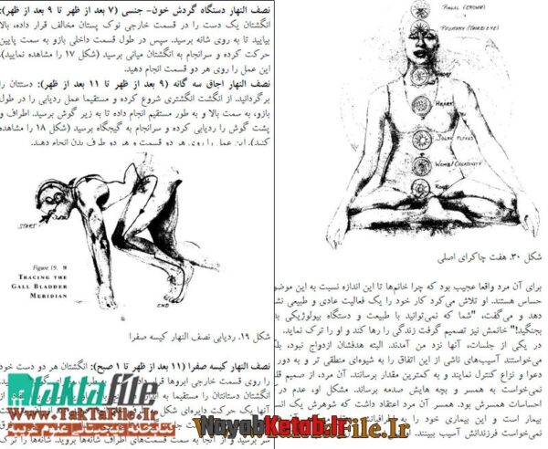 دانلود کتاب طب انرژی - تکنیک های کاربردی جهت بهبود سلامتی و درمان بیماری ها - Image 3